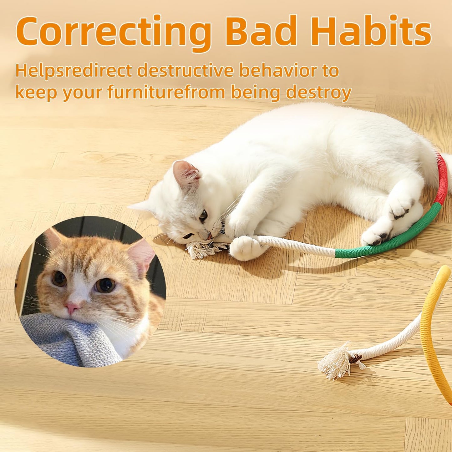Fun Interactive Cat Toy - Halri