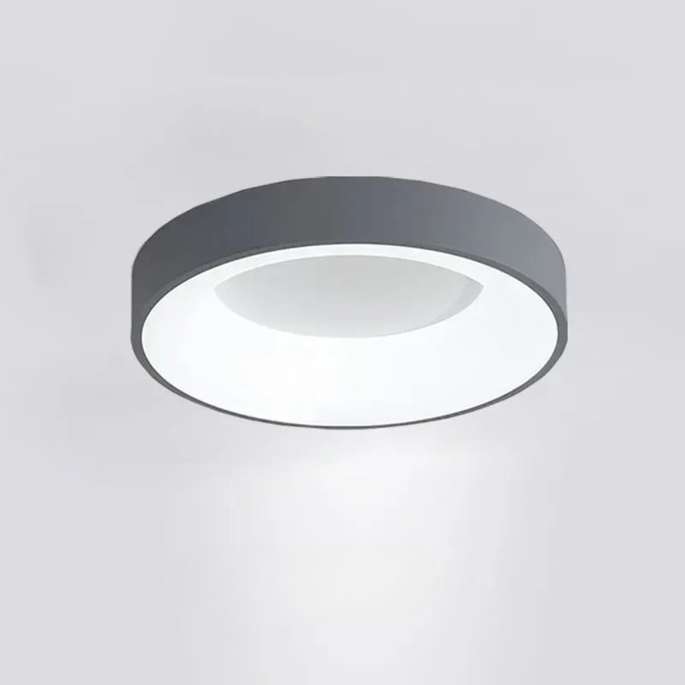Sleek Flat Ceiling Lamp for Living Room Lighting