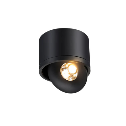 Simple Round LED Ceiling Light