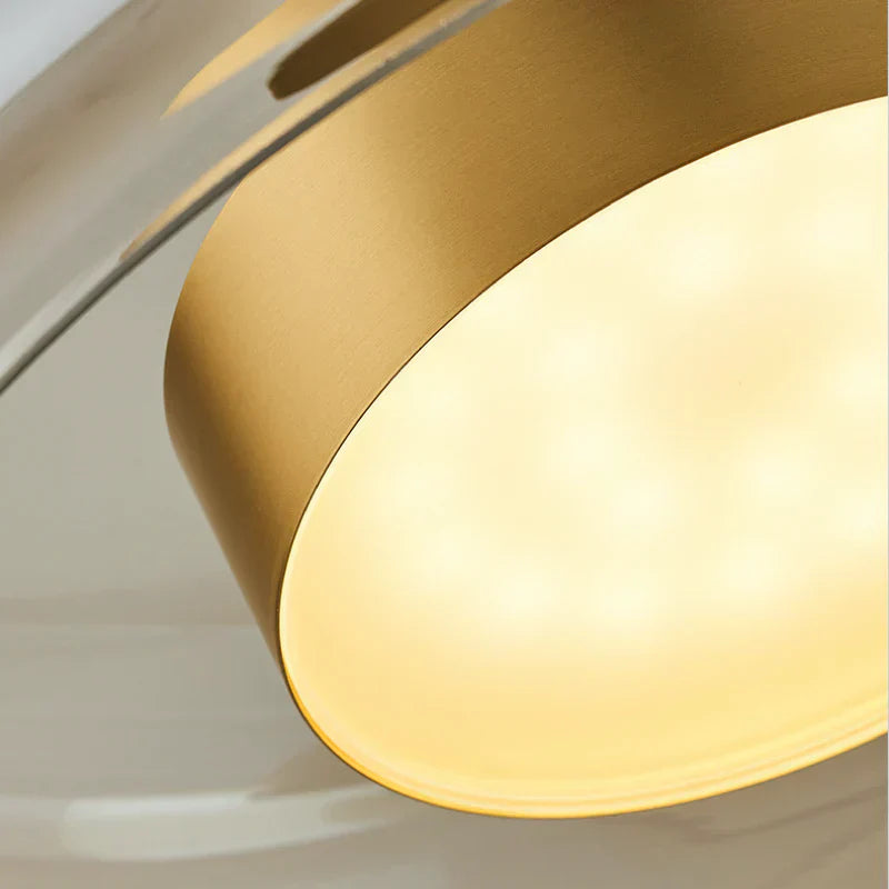 Simple Sleek Adjustable Ceiling Light Fixture