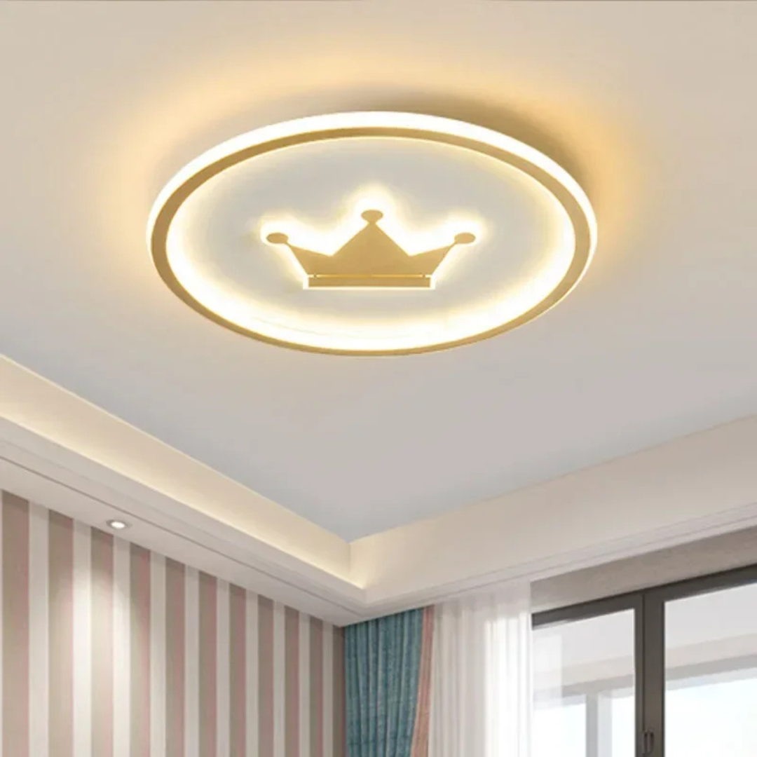 High End Modern LED Ceiling Light