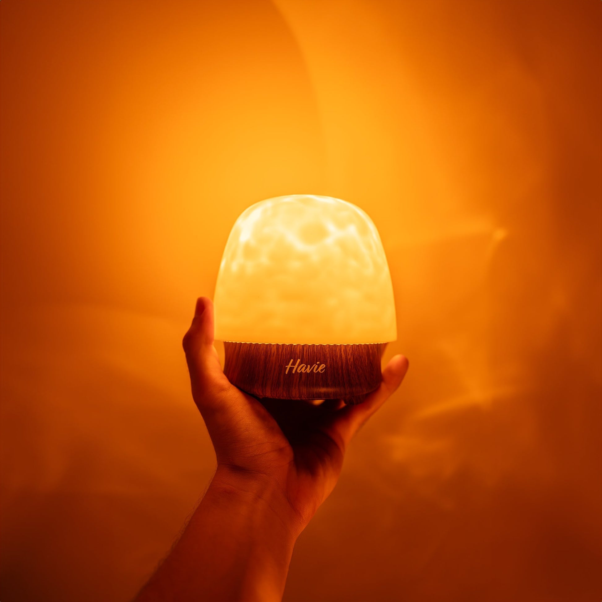 Contemporary Havie Table Lamp Elegant Home Lighting - Halri