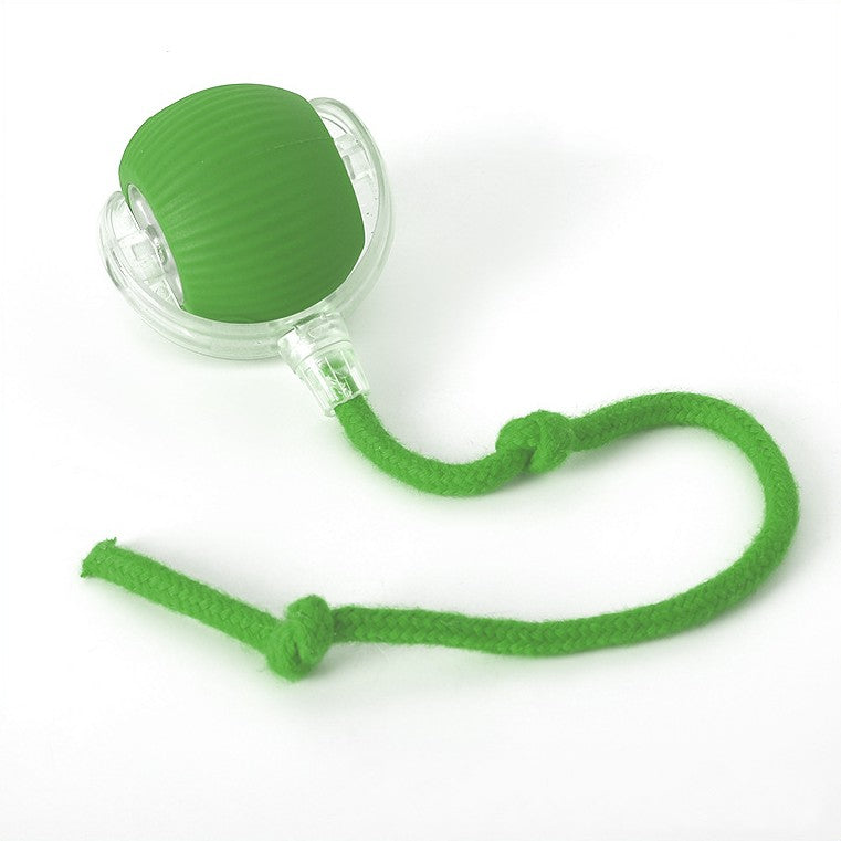 Fun Pet Rolling Ball Toy for Dogs