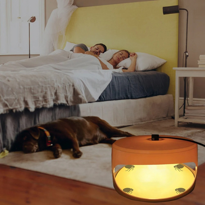 Effective Home Bed Bug Catcher