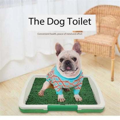 Easy Clean Pet Litter Box with Artificial Turf