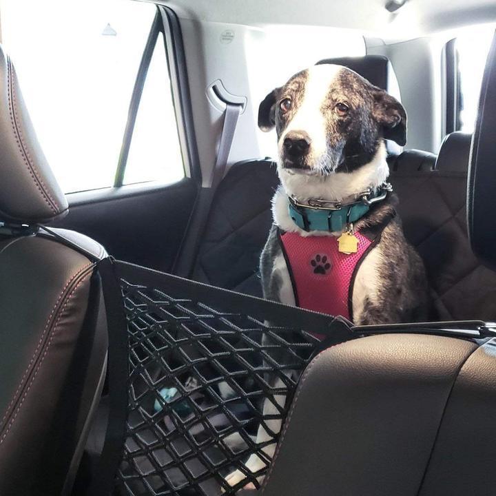 Car Back Seat Storage Net Organizer Hook - Halri