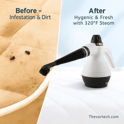 Powerful Hot Vapor Cleaner for Bed Bugs and Sanitizing