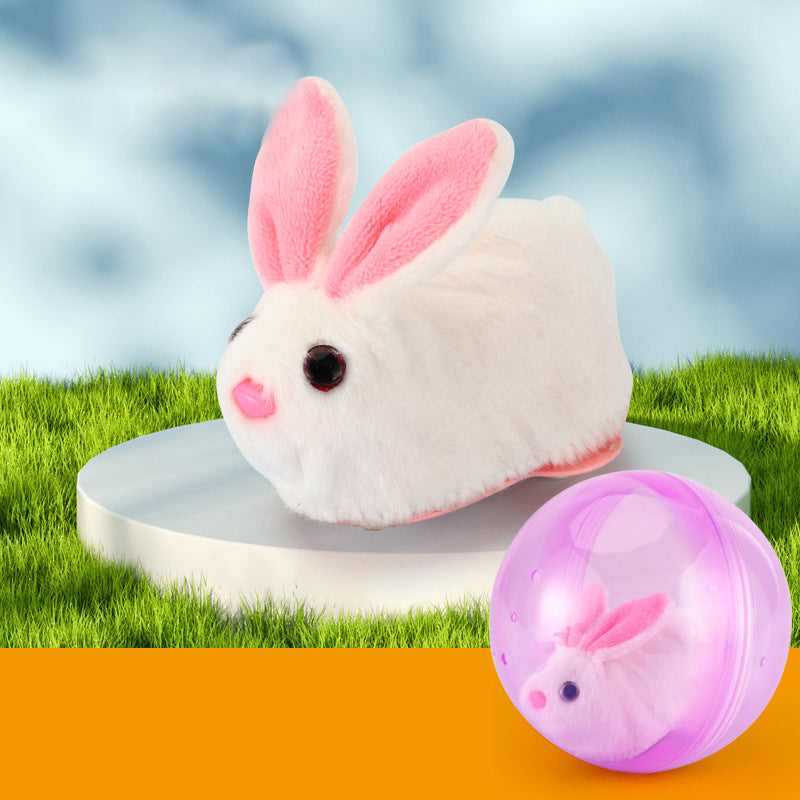 Fun Hamster Exercise Ball Toy