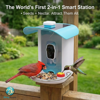 Wireless Smart Bird Feeder Camera Kit
