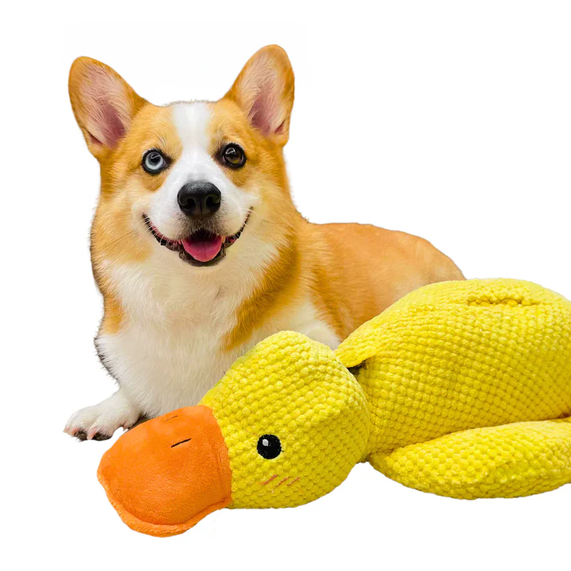 Tough Rubber Dog Toy for Fun Playtime - Halri