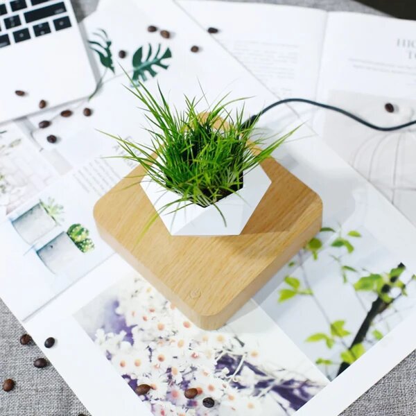 Floating Magnetic Planter For Small Plants & Bonsai