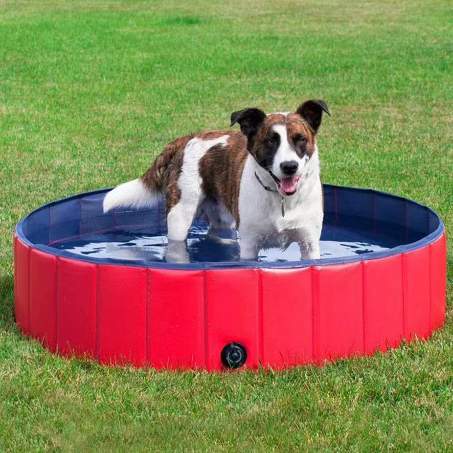 Portable Pet Swimming Pool - Halri