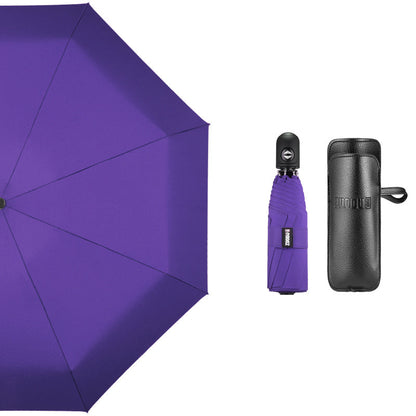 Compact Automatic Wind Resistant 12 Rib Umbrella