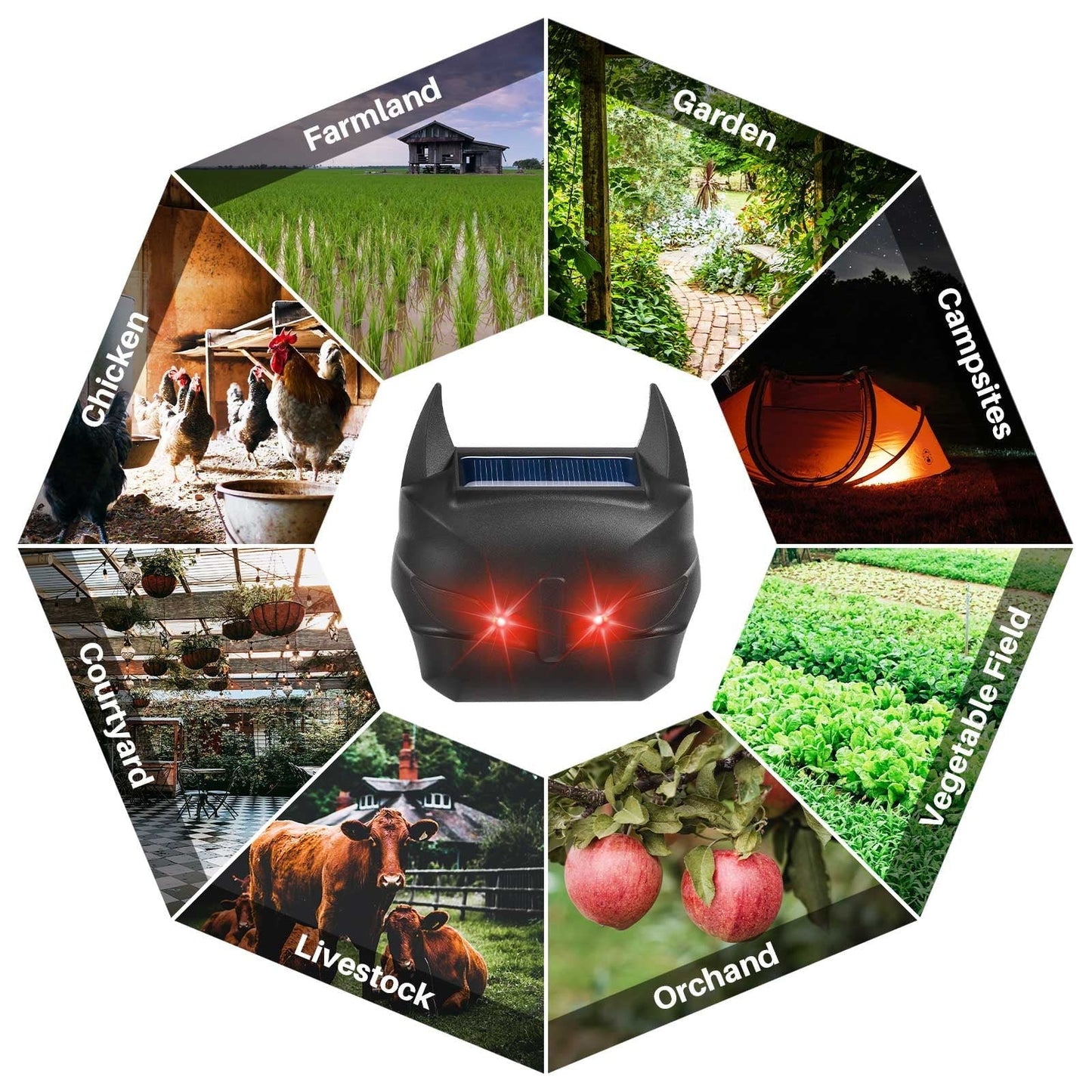 Outdoor Solar Pest Repeller with Motion Activated Light