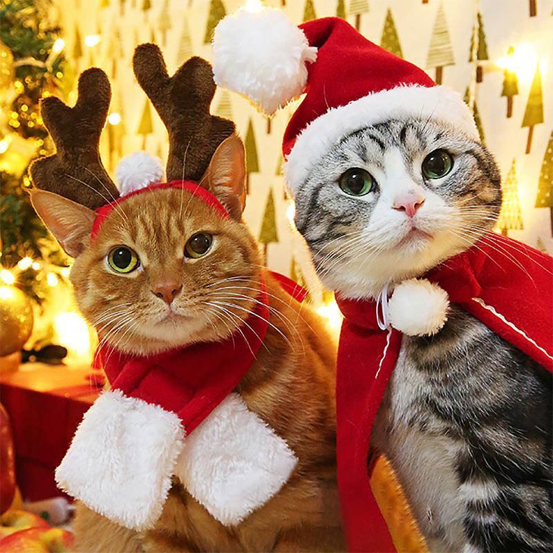 Cozy Holiday Pet Costumes - Halri