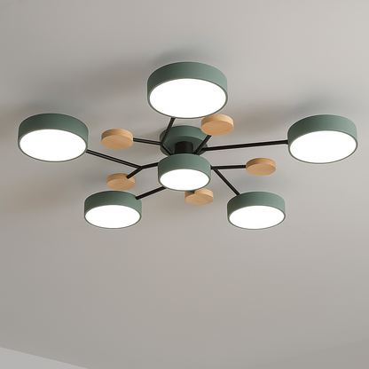 Stylish LED Ceiling Light Fixture