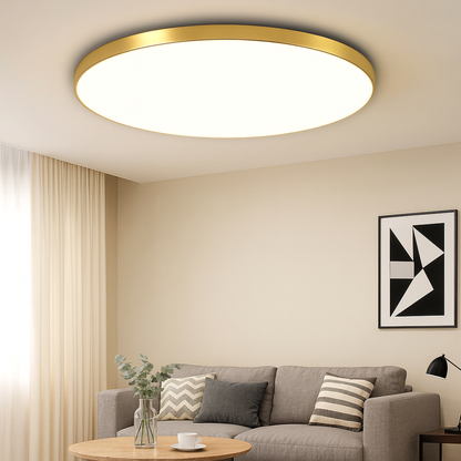 Circular LED Ceiling Light Fixture
