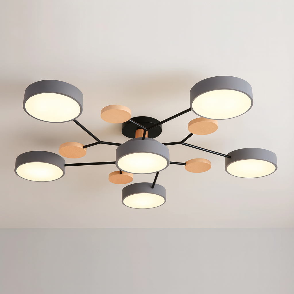 Stylish LED Ceiling Light Fixture