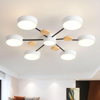 Stylish LED Ceiling Light Fixture