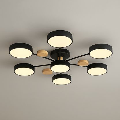 Stylish LED Ceiling Light Fixture