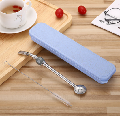 Premium Metal Reusable Straw Set with Filter & Cleaner