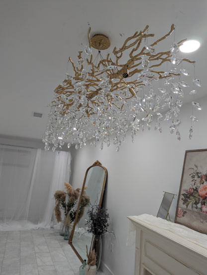 Elegant Crystal Drop Ceiling Light Fixture