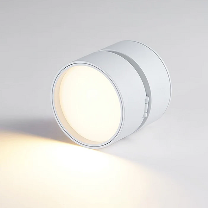 Adjustable 360 Rotation Ceiling Light