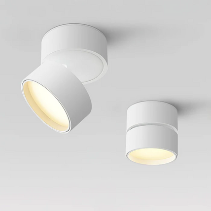 Flexible 360 Degree Pendant Lamp - Halri