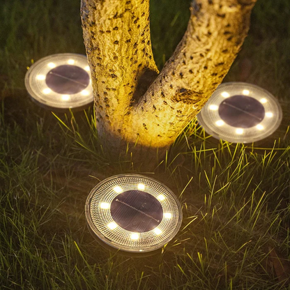Weatherproof Solar Illuminate Lights