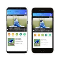 Wireless Bird Feeder Camera with HD Video and Motion Alert