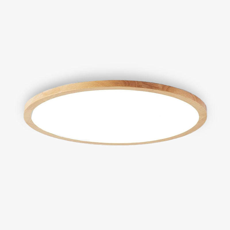 Simple Adjustable Bright LED Ceiling Lamp for Home - Halri