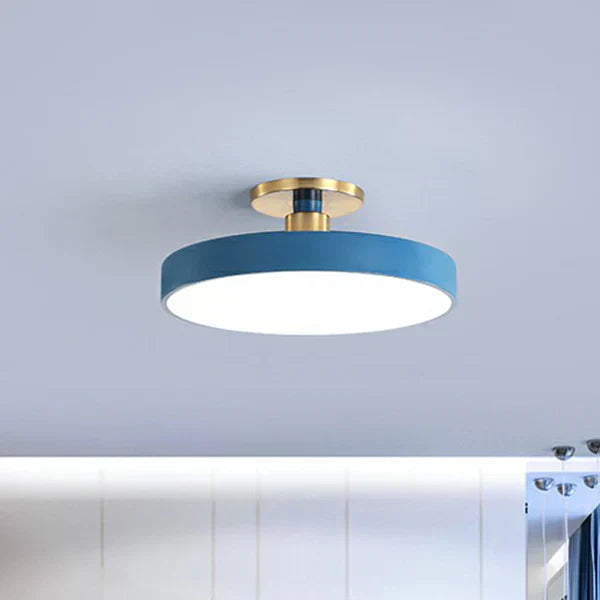 Contemporary Slim LED Overhead Light