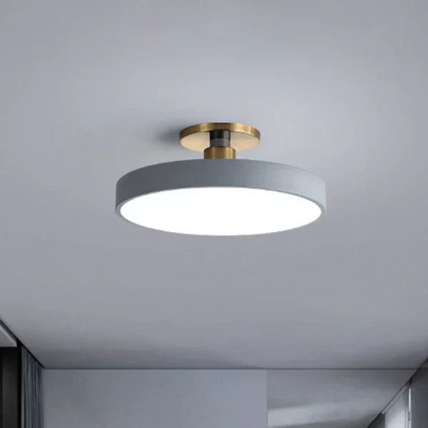 Contemporary Slim LED Overhead Light