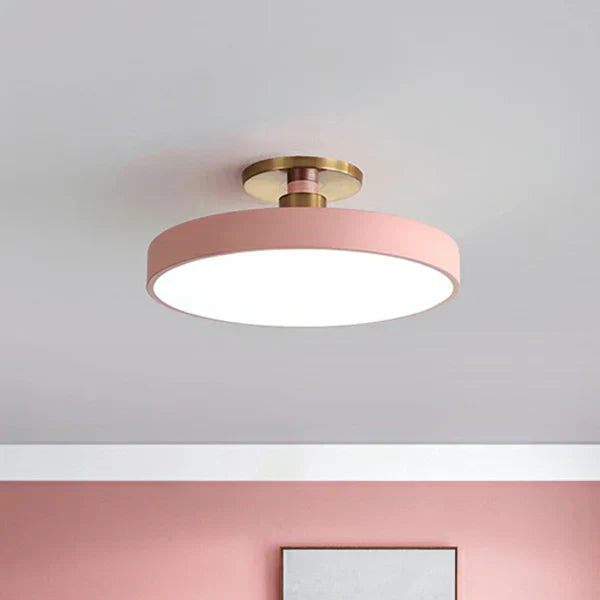 Contemporary Slim LED Overhead Light