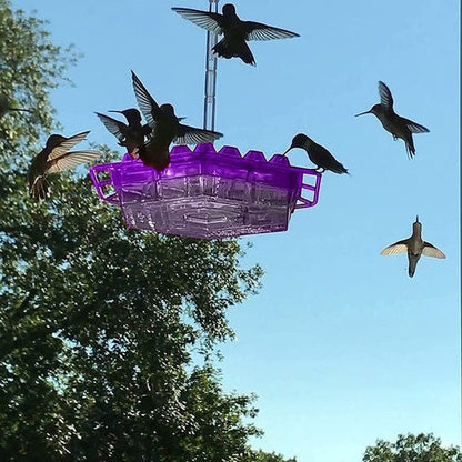 Easy Fill Outdoor Bird Feeder with Ant Block