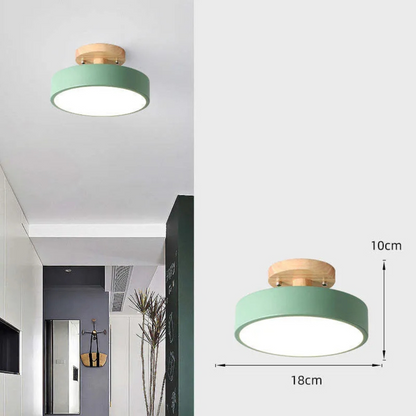 Natural Wood Modern LED Light Fixture - Halri