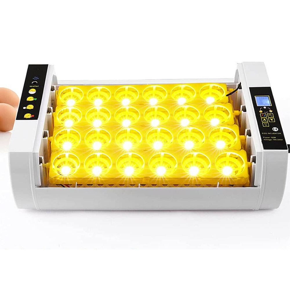 Big Automatic 24 Egg Incubator for Chickens and Quail