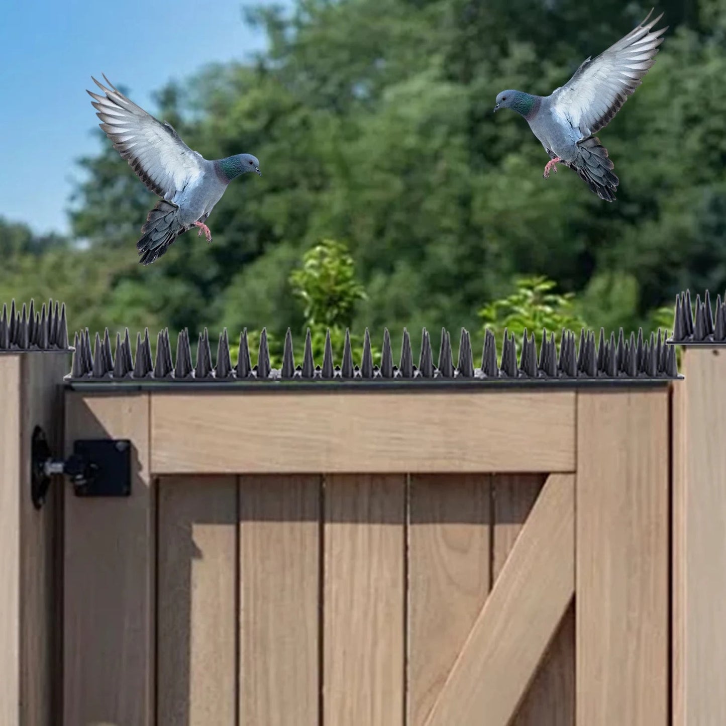 Durable Pigeon Deterrent Roof Spikes - Halri