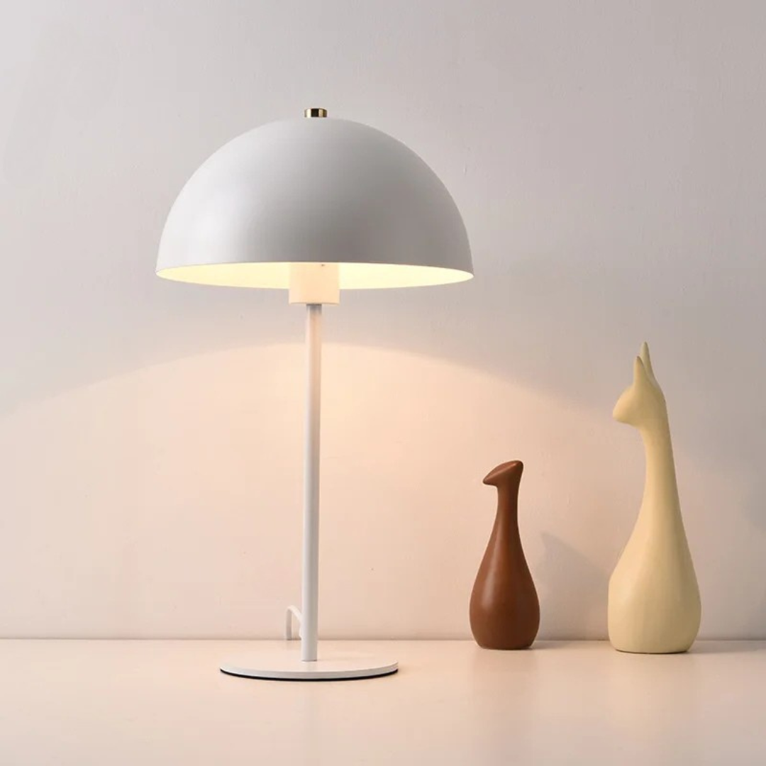 Stylish LED Desk Light