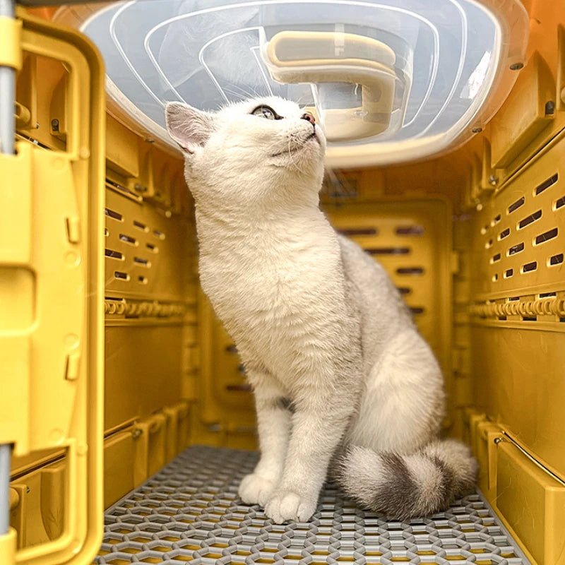 Portable Pet Travel Crate for Easy Safe Transport - Halri