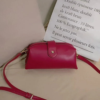 Small Chic Crossbody Handbag