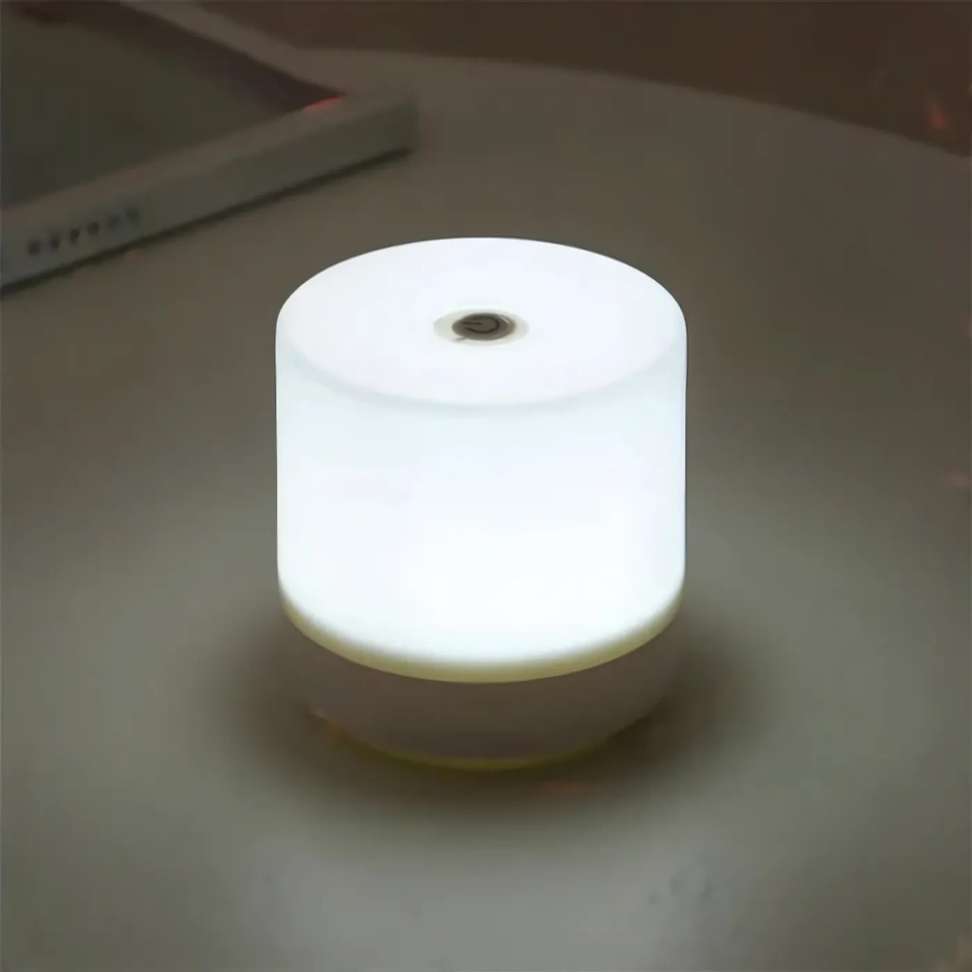 Stylish Touch LED Desk Lamp