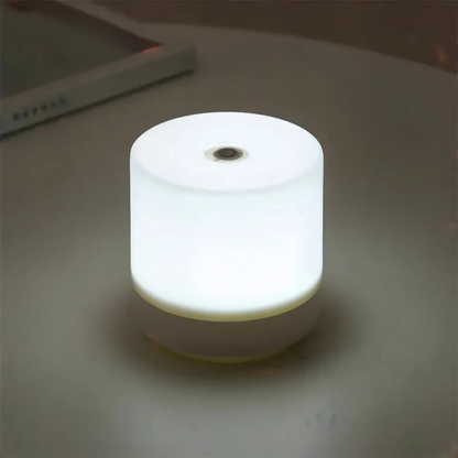 Stylish Touch LED Desk Lamp