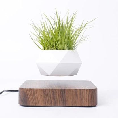 Floating Magnetic Planter For Small Plants & Bonsai