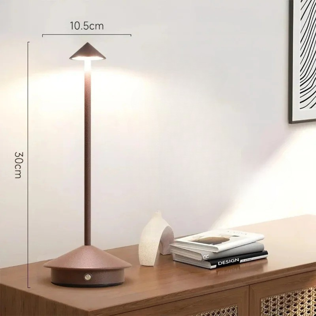 Portable Adjustable LED Desk Light