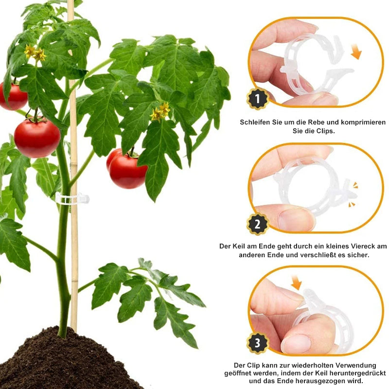 Easy Plant Holder Clip - Halri