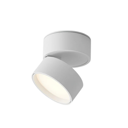 Flexible Bright Overhead LED Lamp