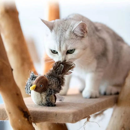 Fun Interactive Cat Toy - Halri