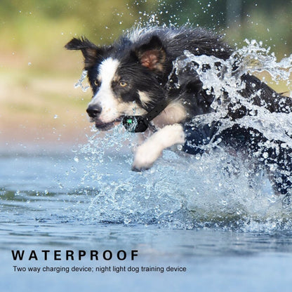Waterproof Rechargeable Dog Training Collar