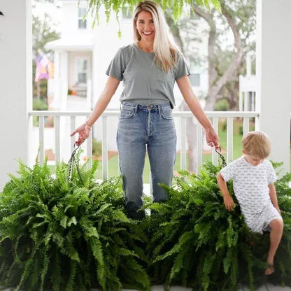 Durable Outdoor Artificial Fern Plant